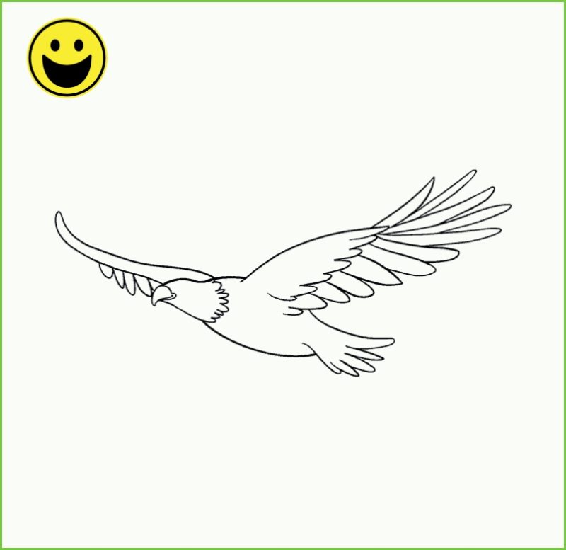 Cara Menggambar Sketsa Burung Garuda 2