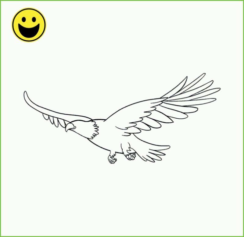 Cara Menggambar Sketsa Burung Garuda 3