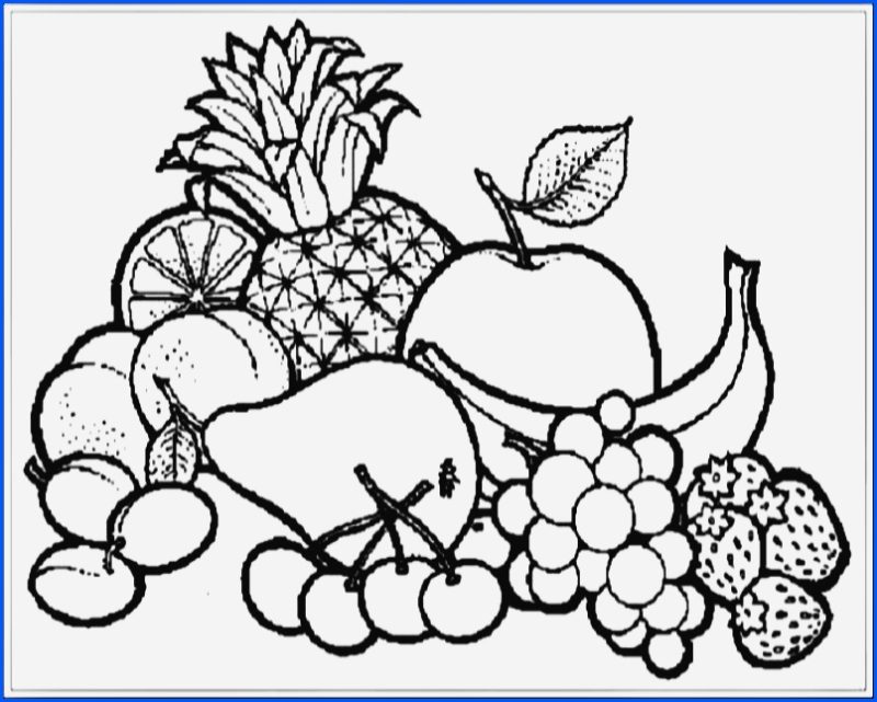 Sketsa Gambar Buah-buahan