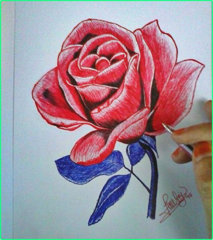 Sketsa Gambar Bunga Cantik